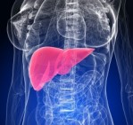 Hepatit A Nedir